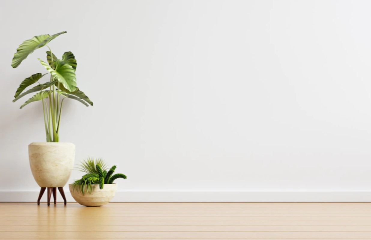 7 tips para adoptar un estilo minimalista en tu hogar