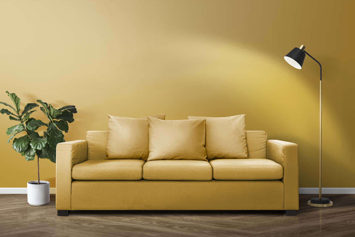 ¿Cómo elegir el mejor sofá para tu hogar?